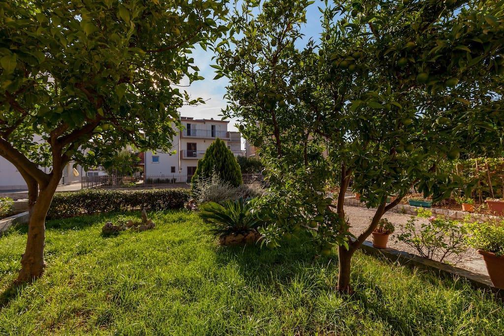 Apartmani Sanja Suta بودْسْتغانا المظهر الخارجي الصورة